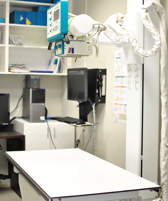 Radiology